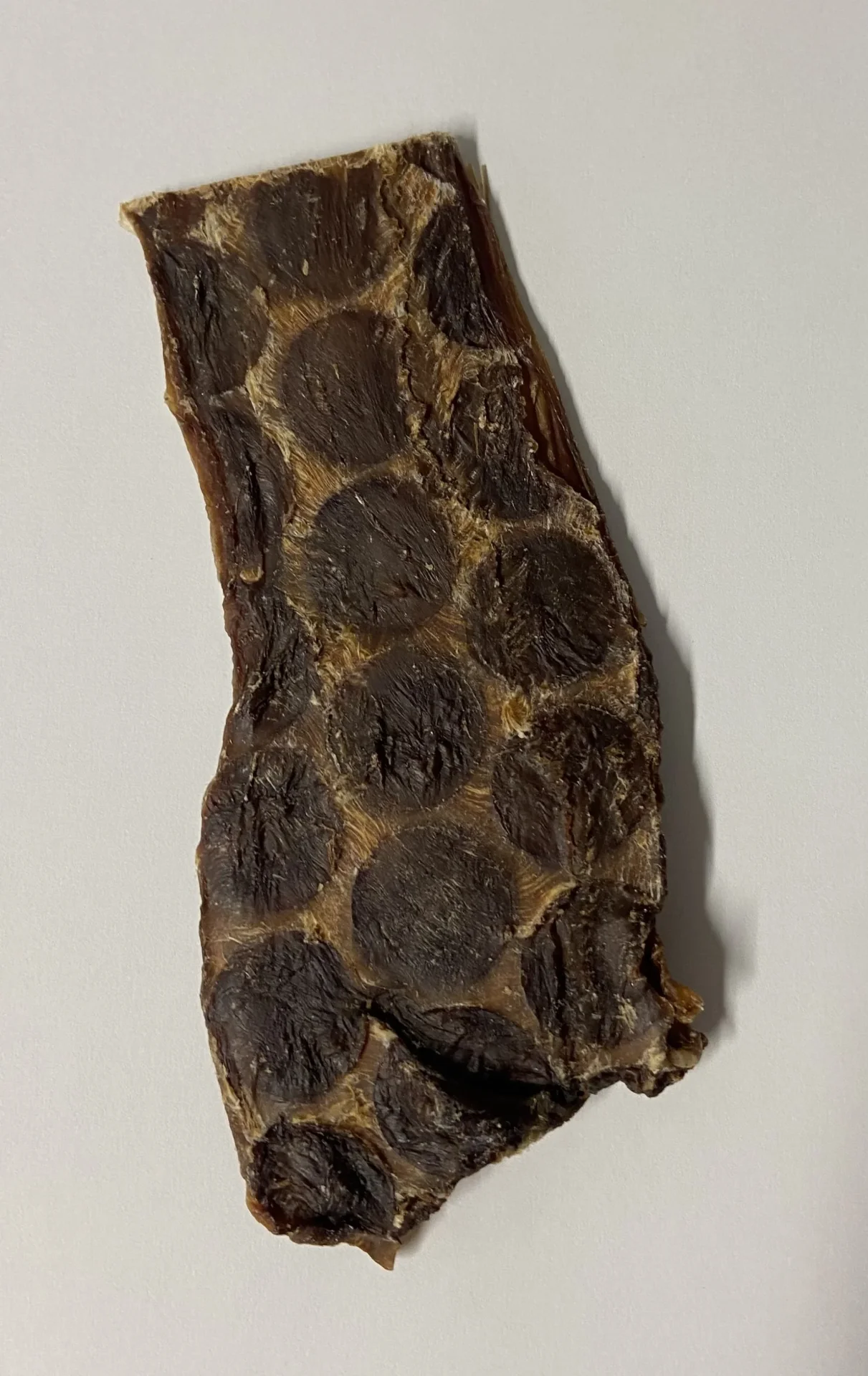 Oesophage De Boeuf