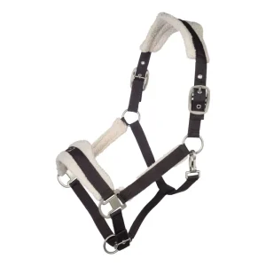 Licol Arezzo Lauria Garrelli Top Vente